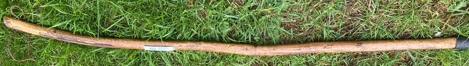The Walking Walking Stick lying at full length with its new tag fitted
