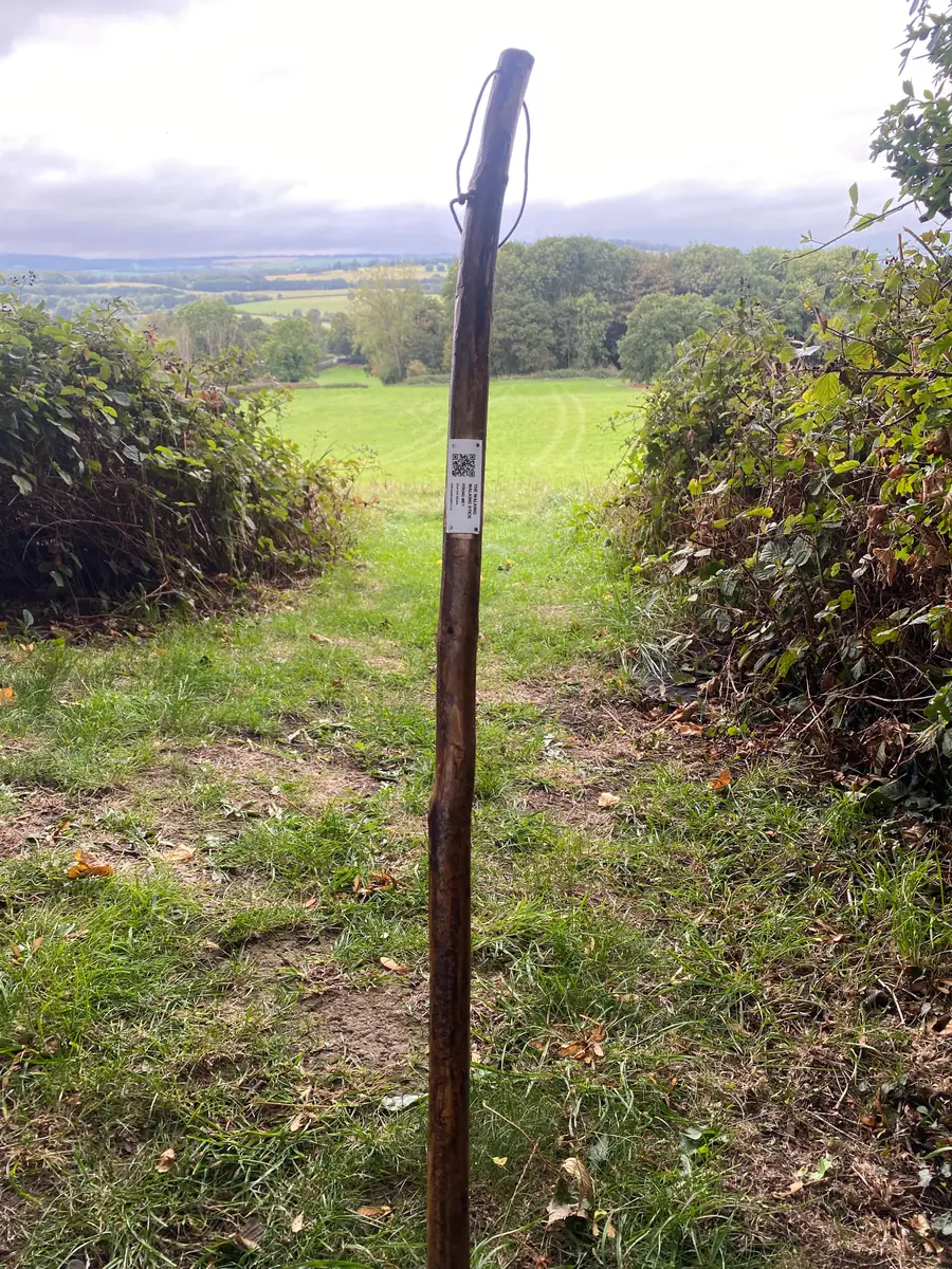 The Walking Walking Stick, tagged and ready to roam, standing on a country path