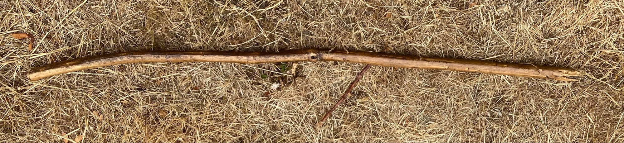 The stick lying on dry grass, second side